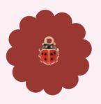 Ladybug Charm