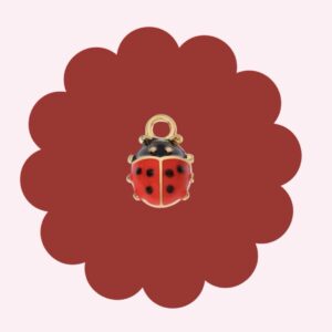 Ladybug Charm