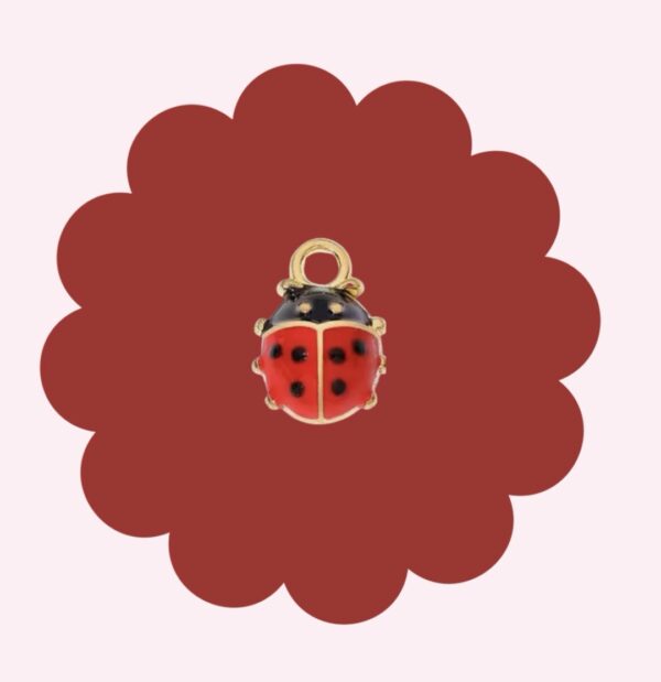 Ladybug Charm