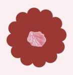 Pink Shell Charm