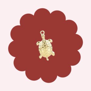Turtle Charm