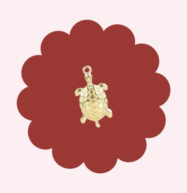 Turtle Charm